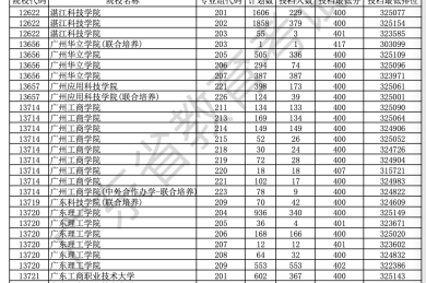 审计实习（专项审计）